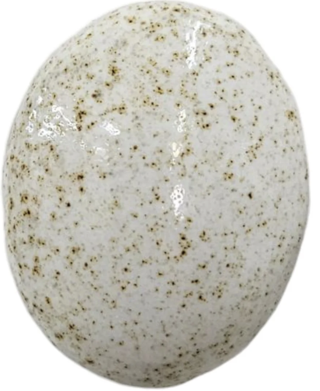 Speckled White Gloss Midfire -500ml
