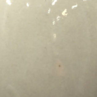 Northcote - Clear Gloss Stoneware Glaze – 500ml