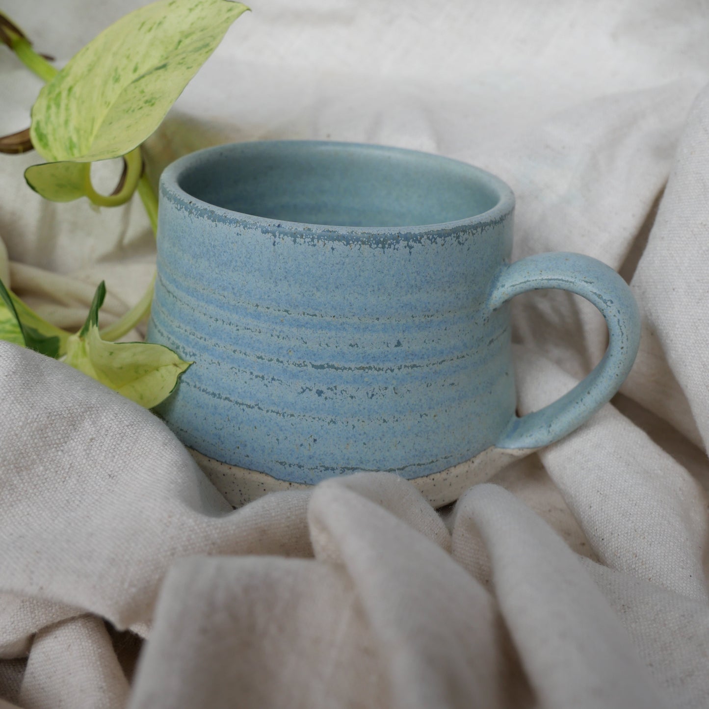 River Rock Glaze - Emu Egg